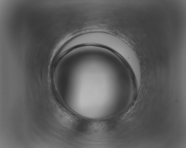 X0000051870248200506241355