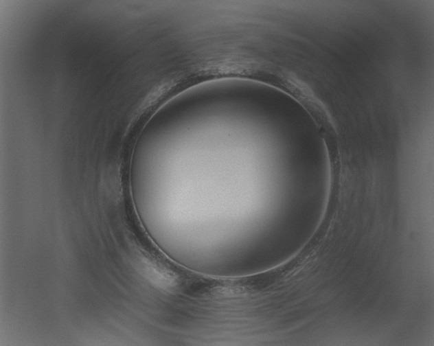 X0000051870250200506241355