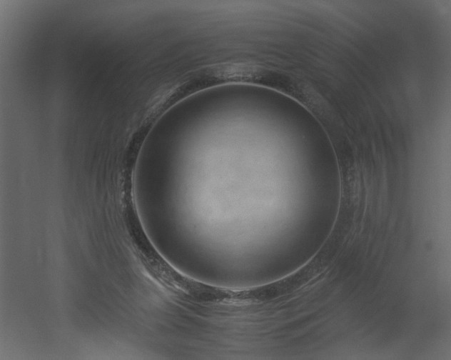 X0000051870255200506241355