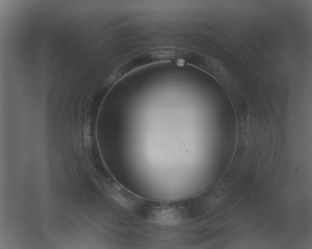 X0000051870267200506241355