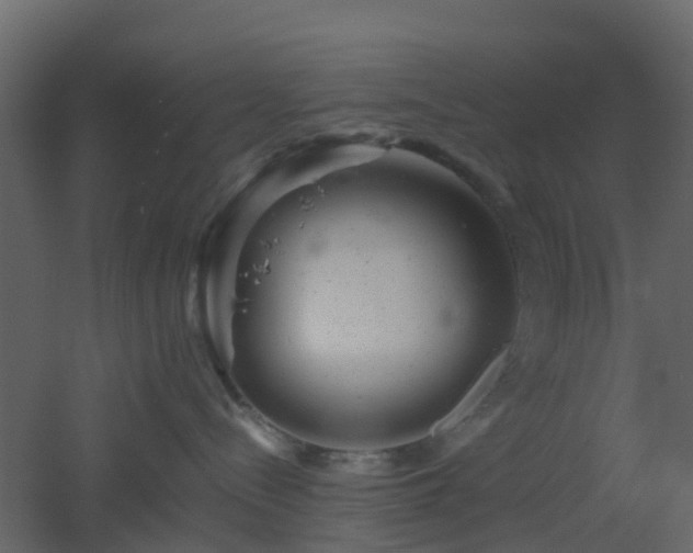 X0000051870288200506241355