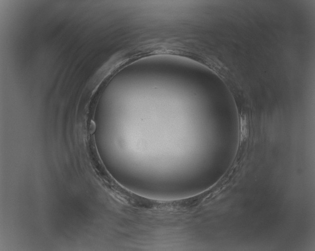 X0000051870291200506241354