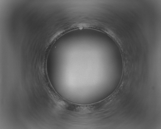 X0000051870297200506241354