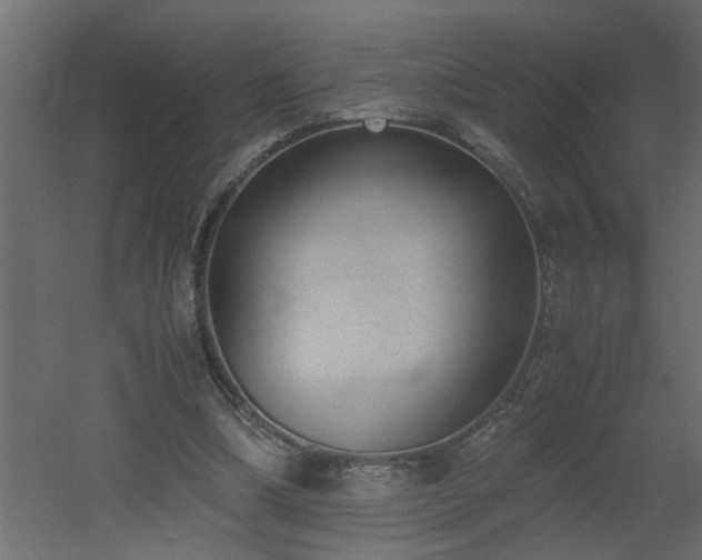 X0000051870298200506241354
