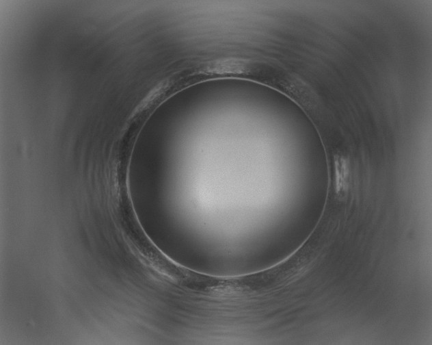 X0000051870300200506241354