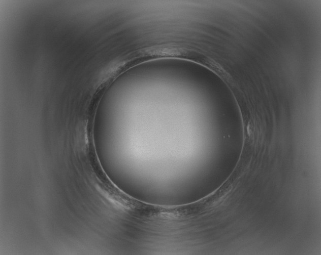 X0000051870302200506241354
