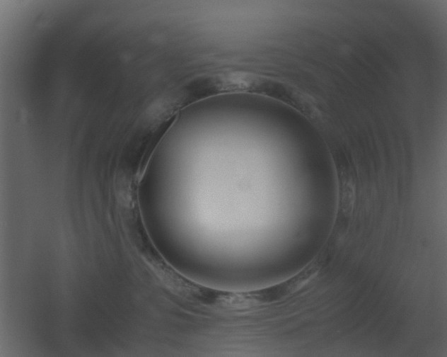 X0000051870331200506241354