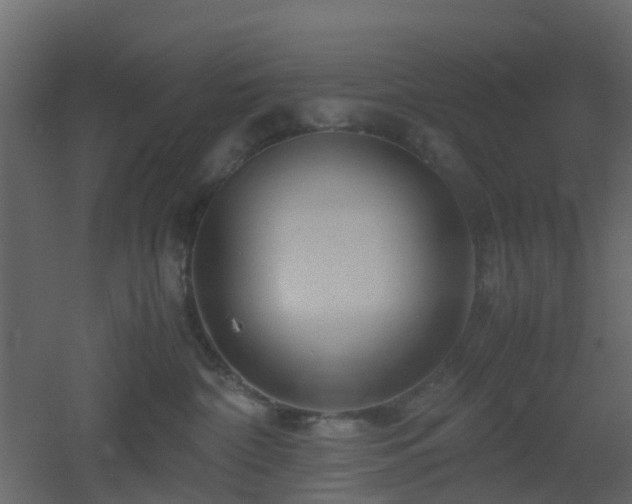 X0000051870332200506241354