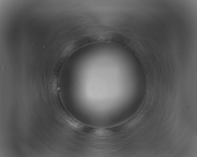 X0000051870336200506241354