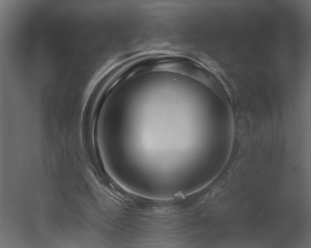 X0000051870344200506241353