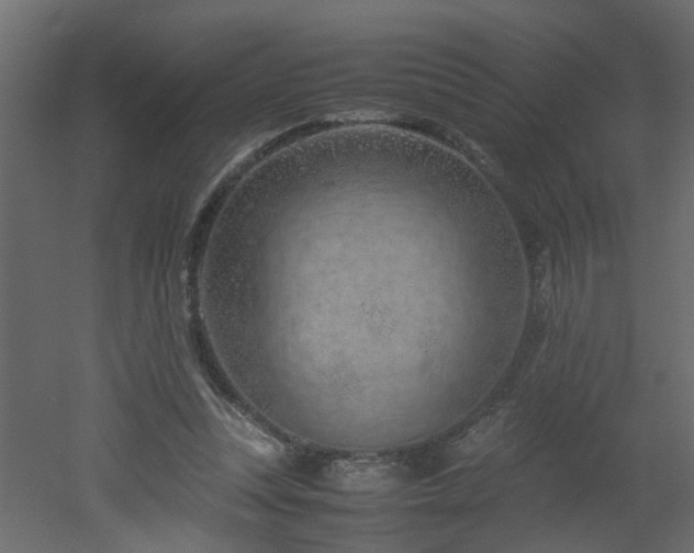 X0000051870351200506241353