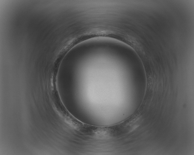 X0000051870358200506241353