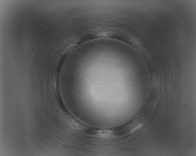 X0000051870363200506241353