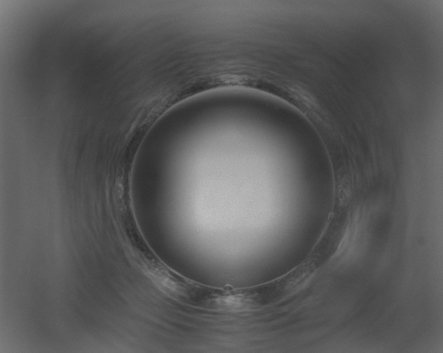 X0000051870365200506241353