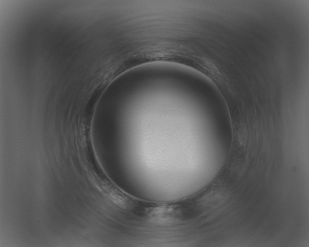X0000051870366200506241353