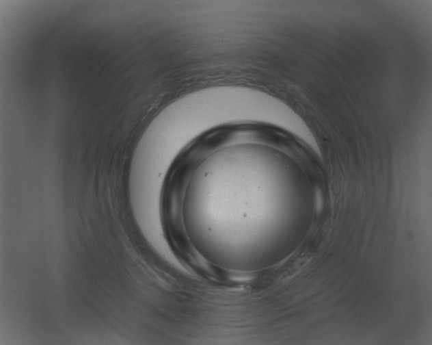 X0000051870368200506241353