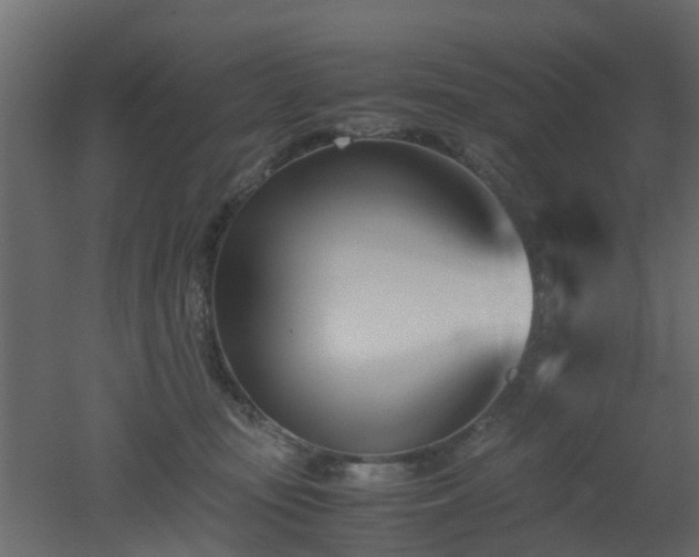 X0000051870371200506241353