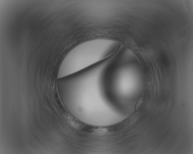 X0000051870374200506241353