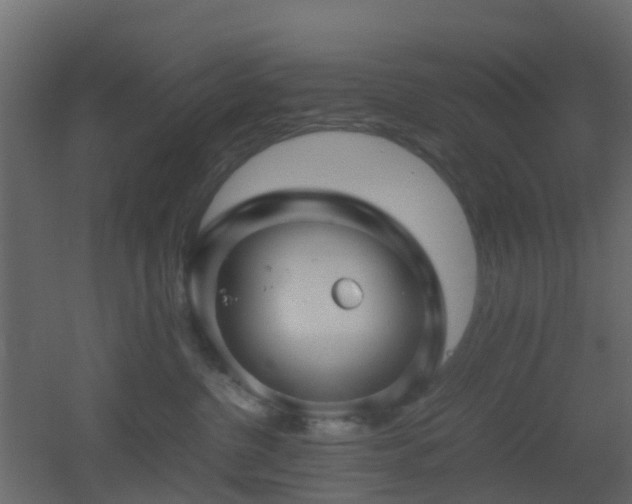 X0000051870380200506241353