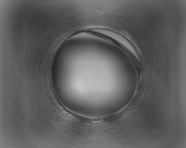 X0000051870385200506241353