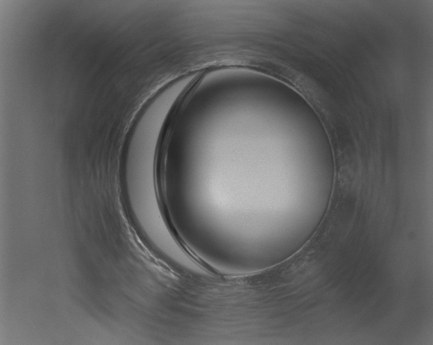 X0000051870386200506241353
