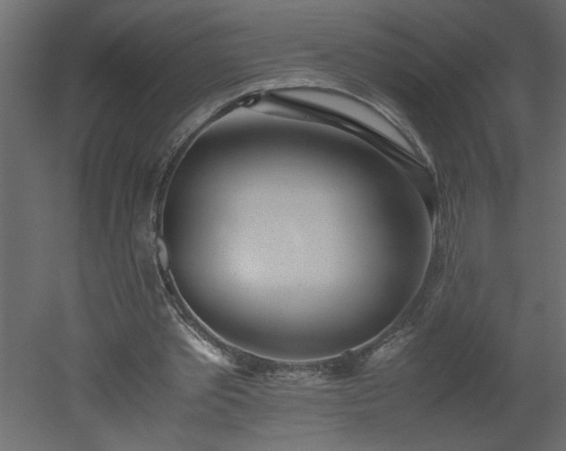 X0000051870389200506241353