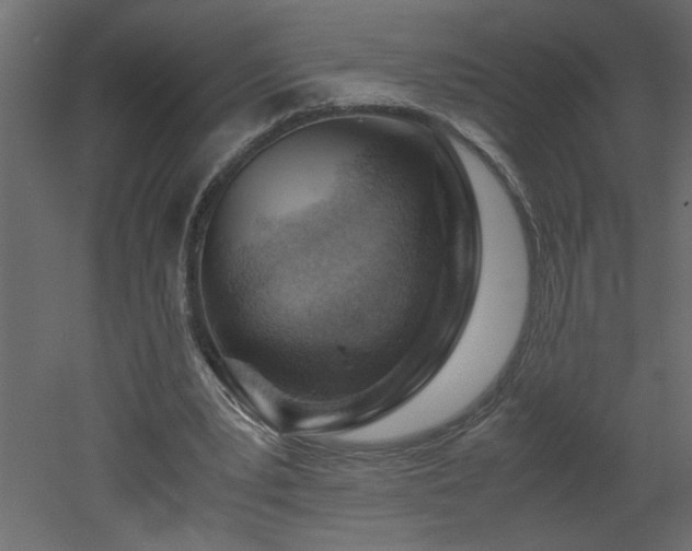 X0000051870391200506241353