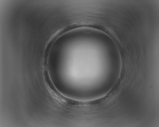 X0000051870395200506241353