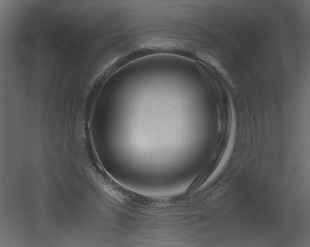 X0000051870399200506241353
