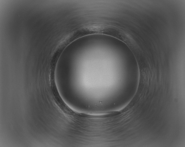 X0000051870404200506241352