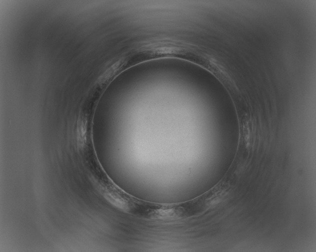 X0000051870406200506241352