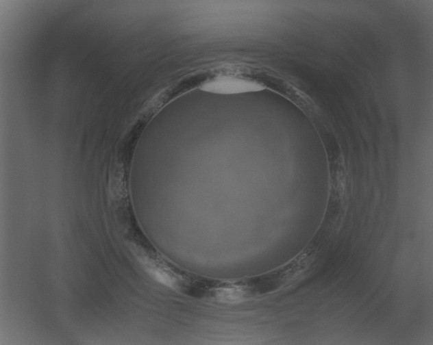 X0000051870411200506241352