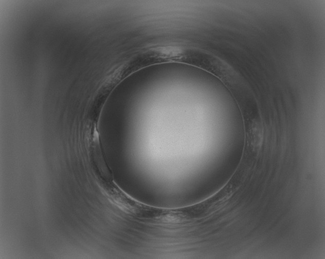 X0000051870412200506241352