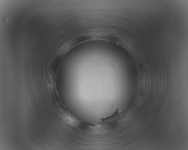 X0000051870430200506241352