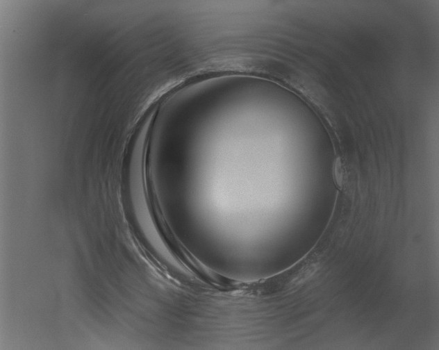 X0000051870434200506241351
