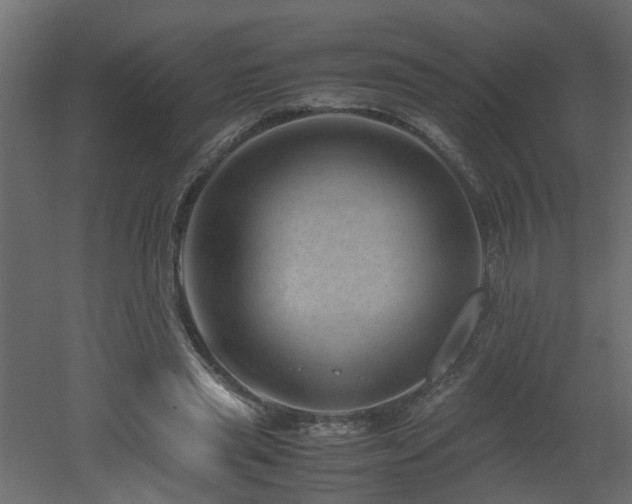 X0000051870445200506241351