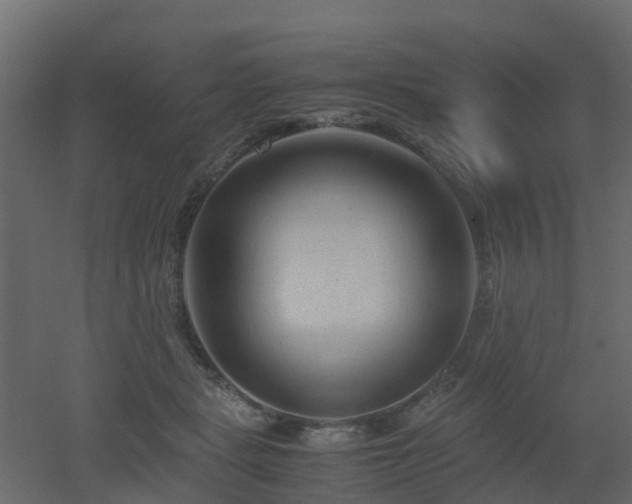 X0000051870461200506241352