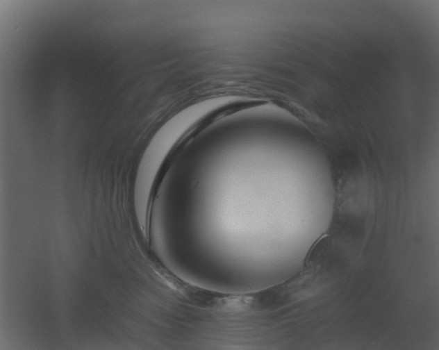X0000051870474200506241352
