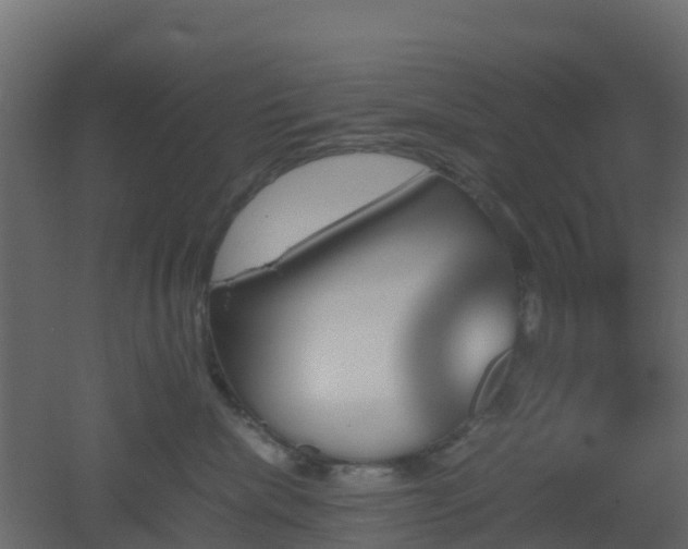 X0000051870476200506241352