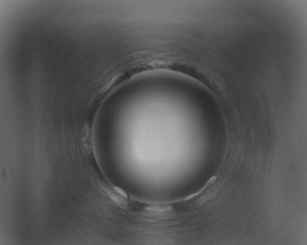 X0000051870480200506241352