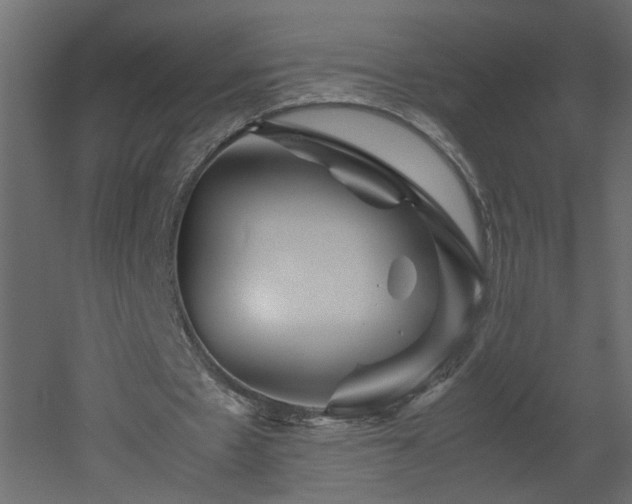 X0000051870481200506241351