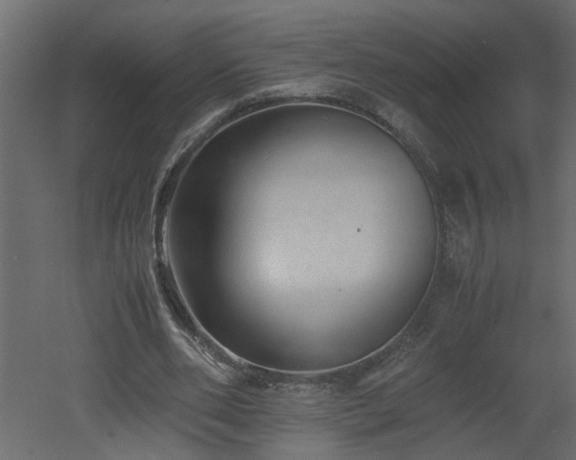X0000051870486200506241351