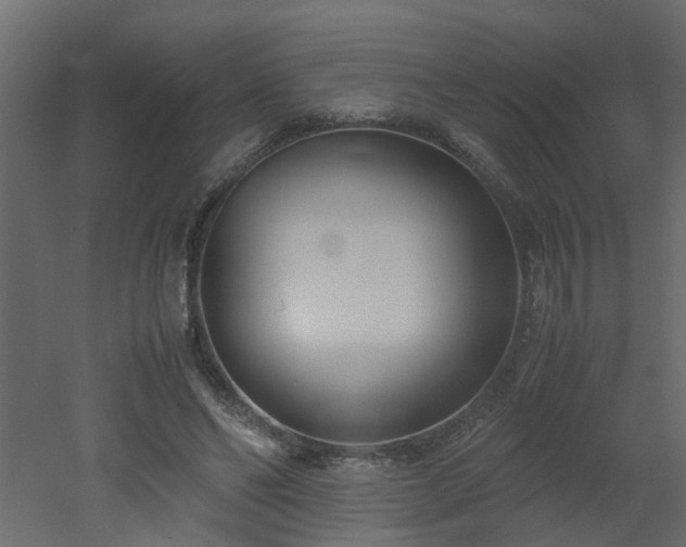 X0000051870494200506241351