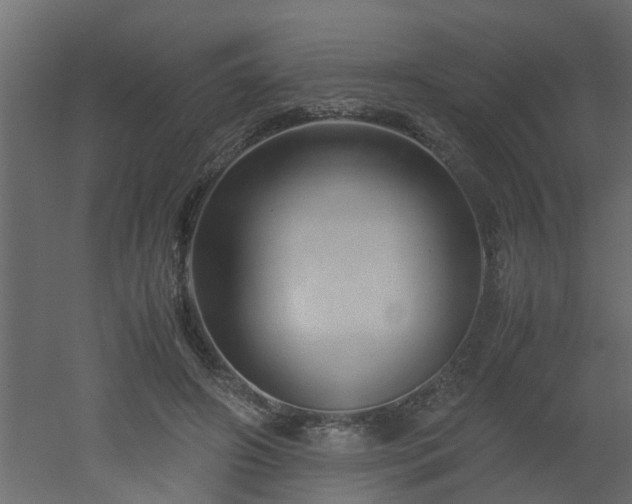 X0000051870498200506241351