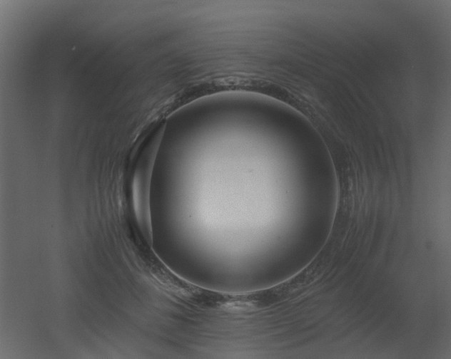 X0000051870508200506241351