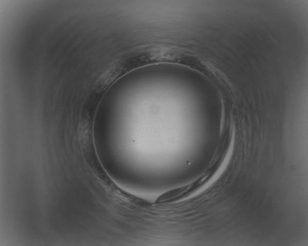 X0000051870513200506241351