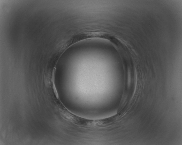 X0000051870517200506241350