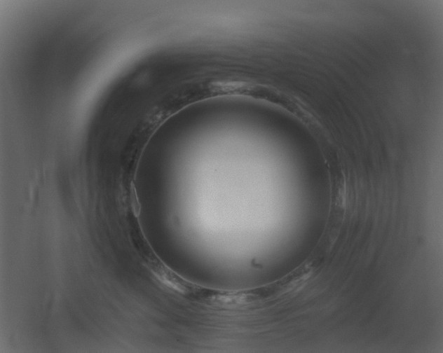 X0000051870524200506241350