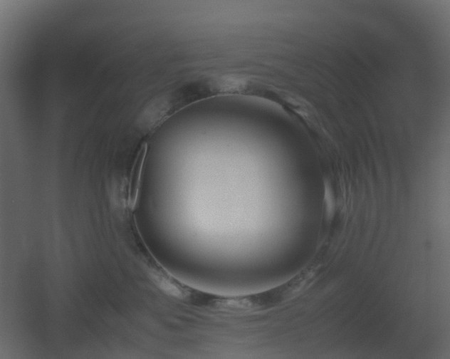X0000051870525200506241350