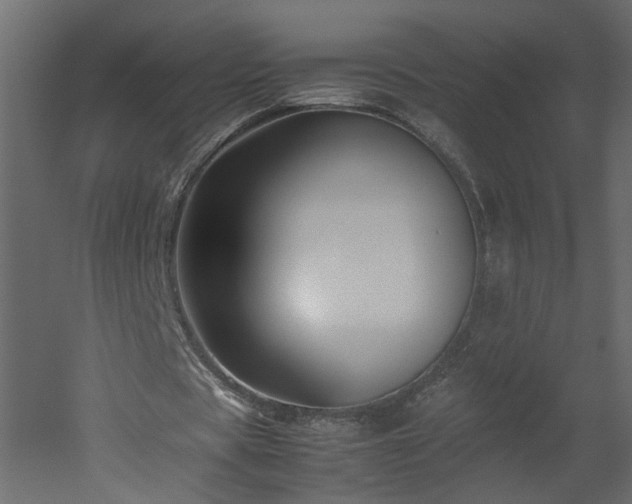 X0000051870529200506241349